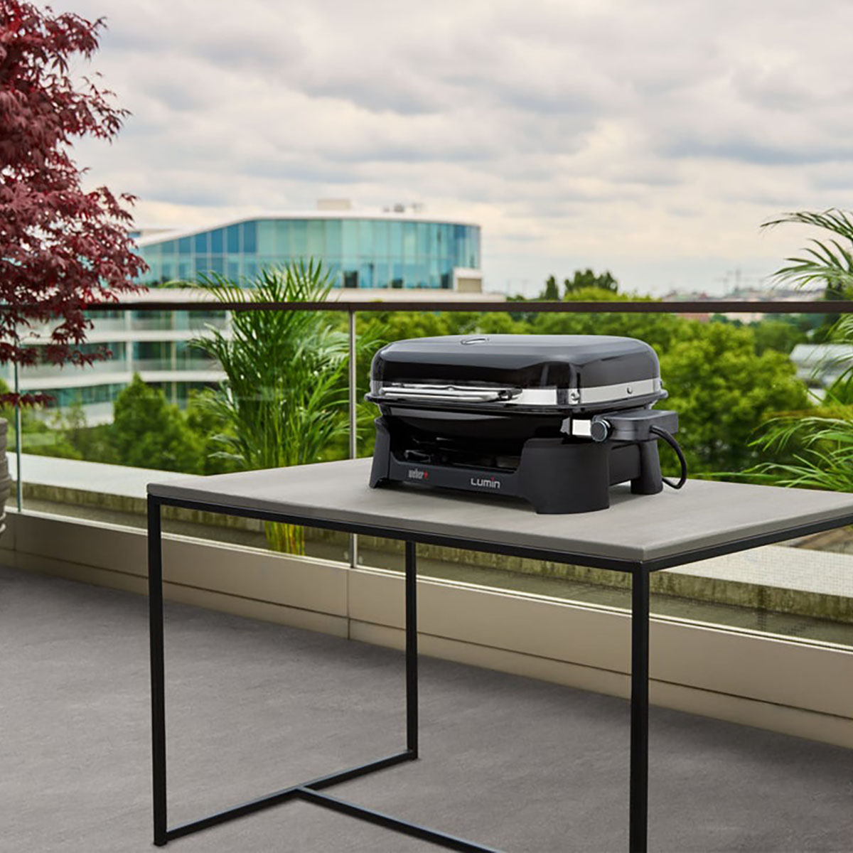 Elgrill Weber Lumin Compact