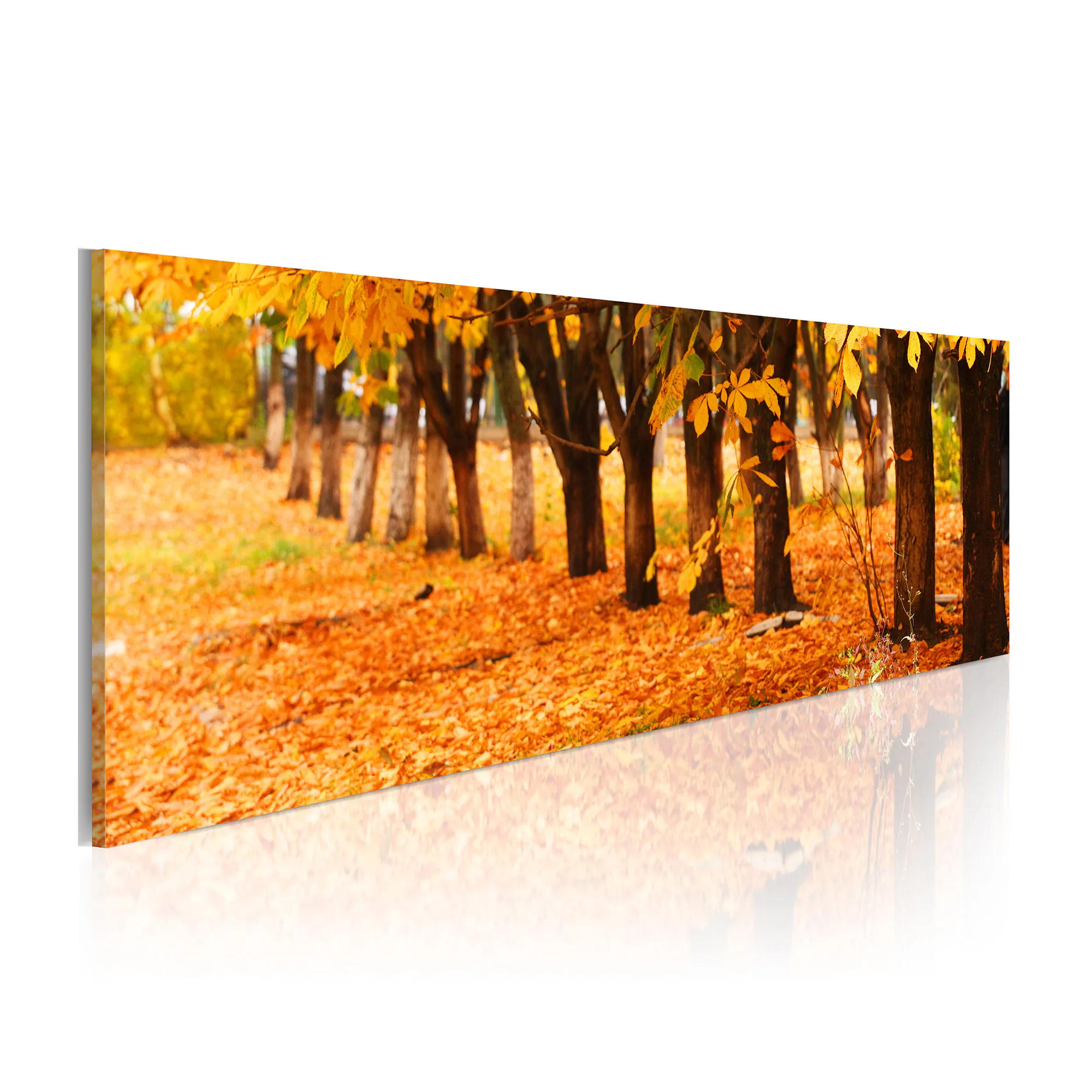Tavla Arkiio Park Covered With Golden Leaves