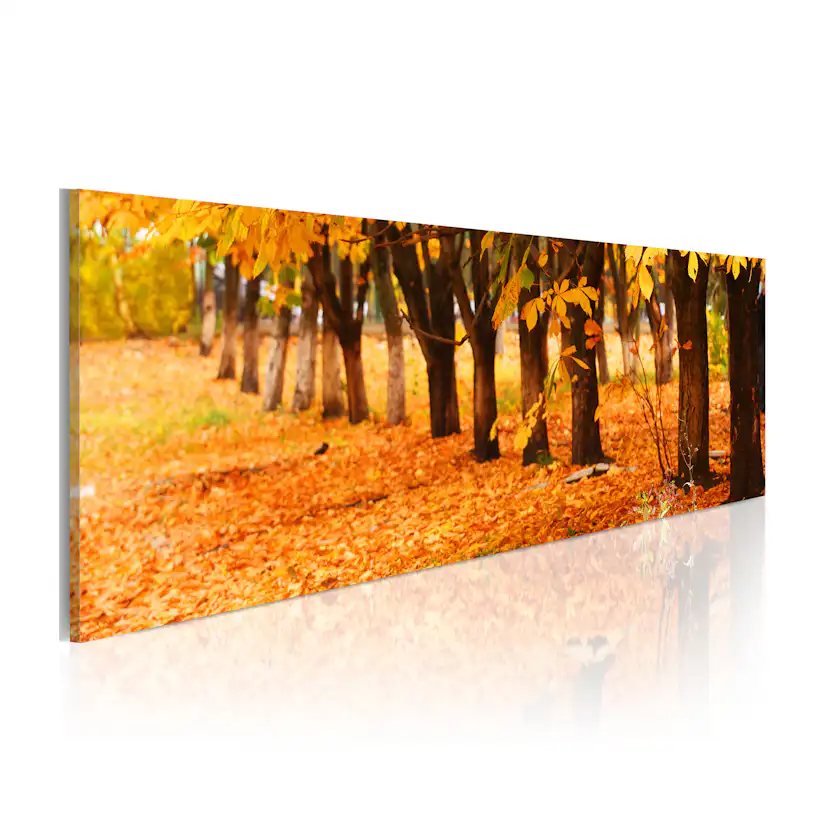 Tavla Arkiio Park Covered With Golden Leaves