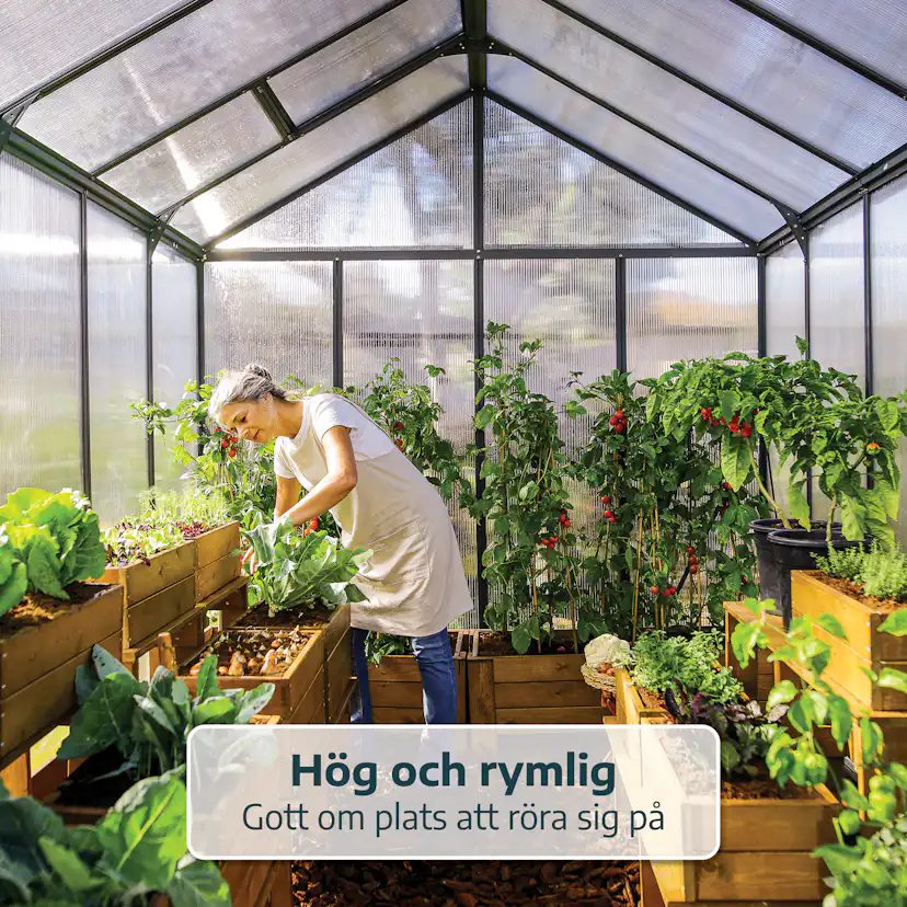 Växthus Canopia by Palram Glory 9,2 m² Mörkgrå