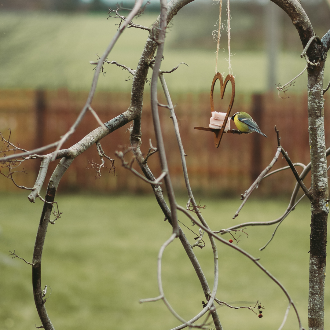 Fågelmatare GrillSymbol Petteri Wiimaa Heart