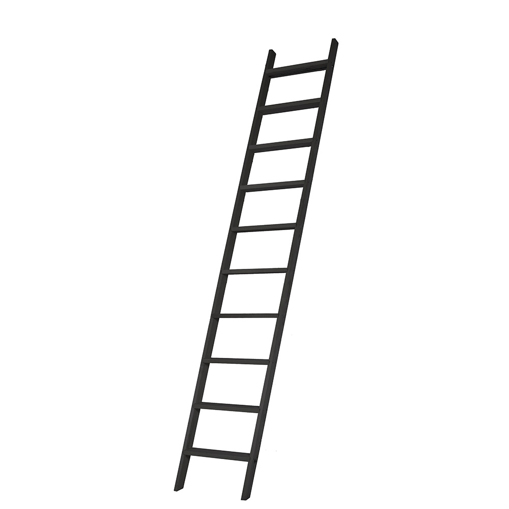 10-steg