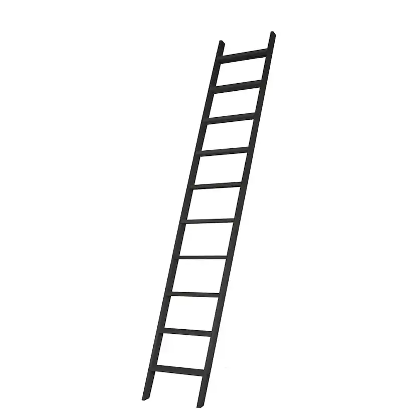 10-steg