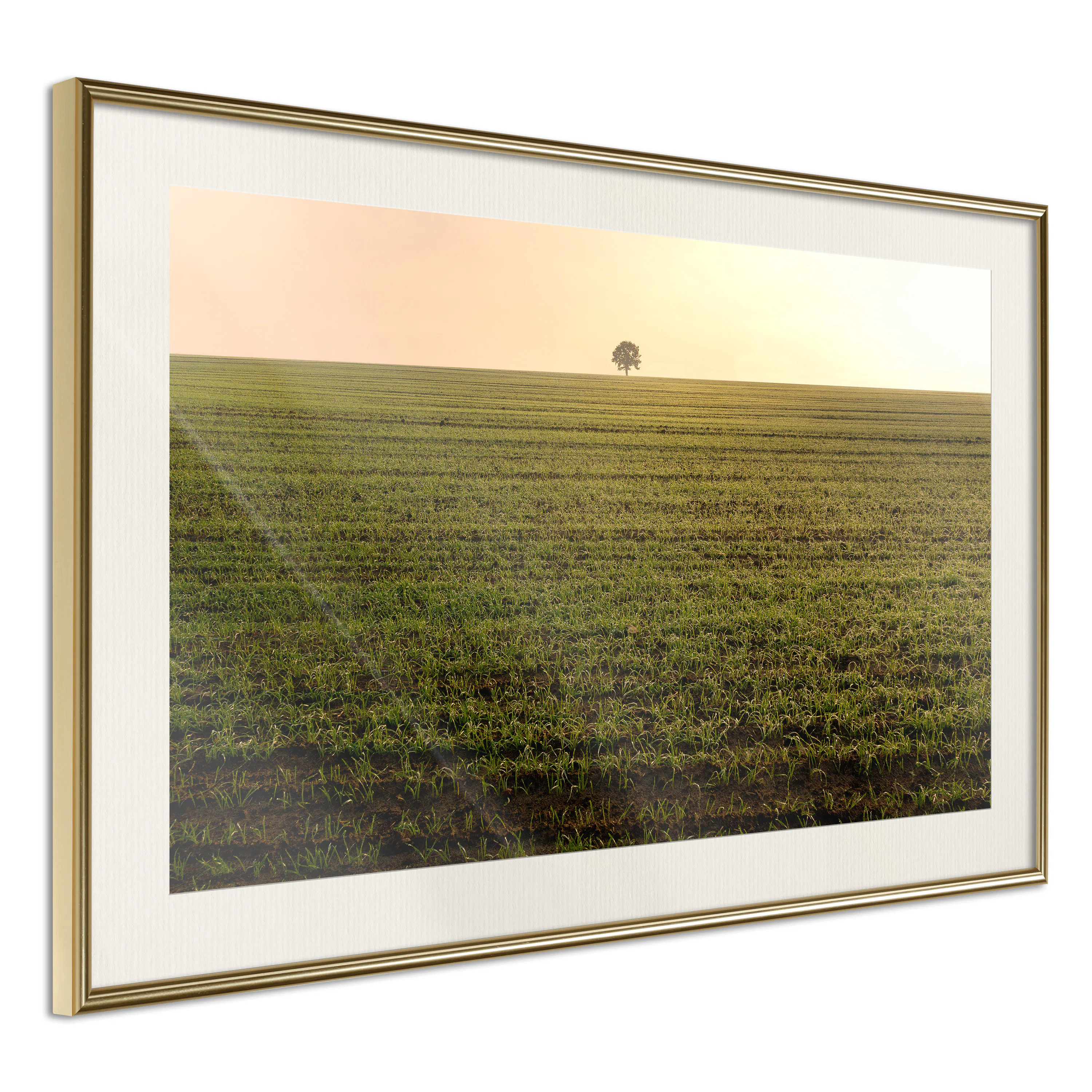 Poster Artgeist Affisch Autumn Morning