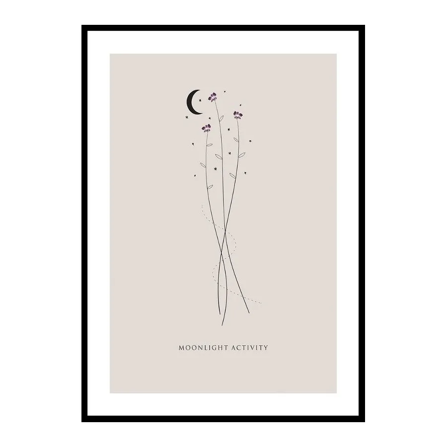 Poster Gallerix Moonlight Activity No3