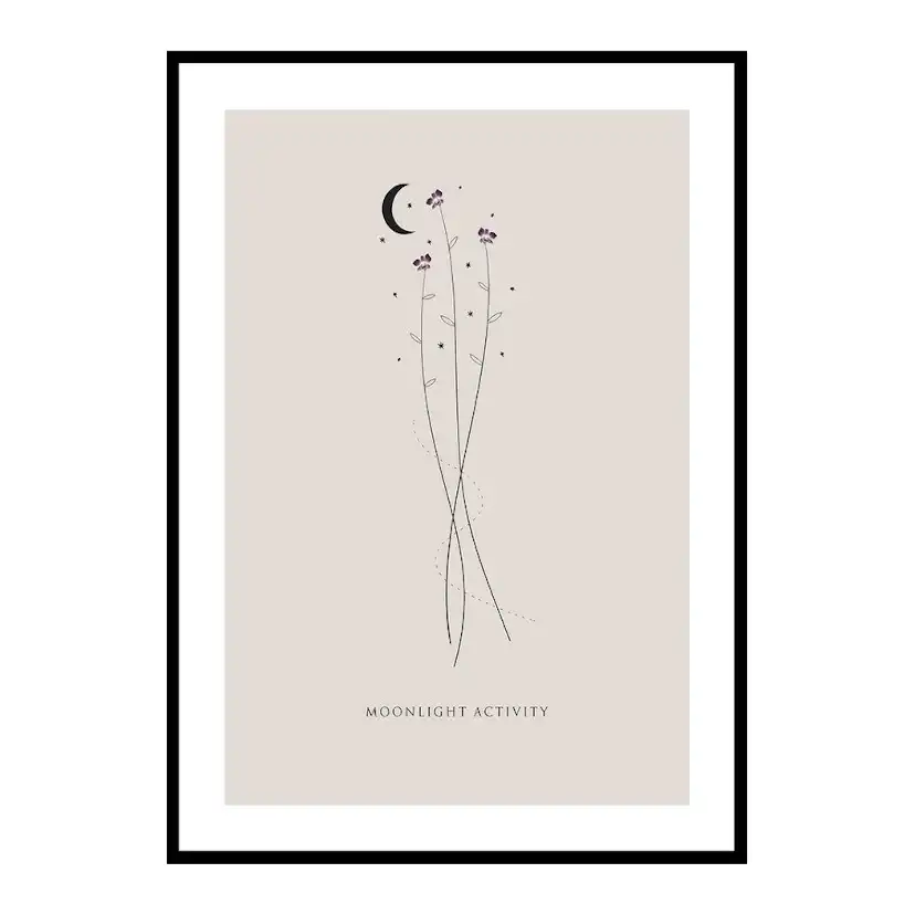 Poster Gallerix Moonlight Activity No3