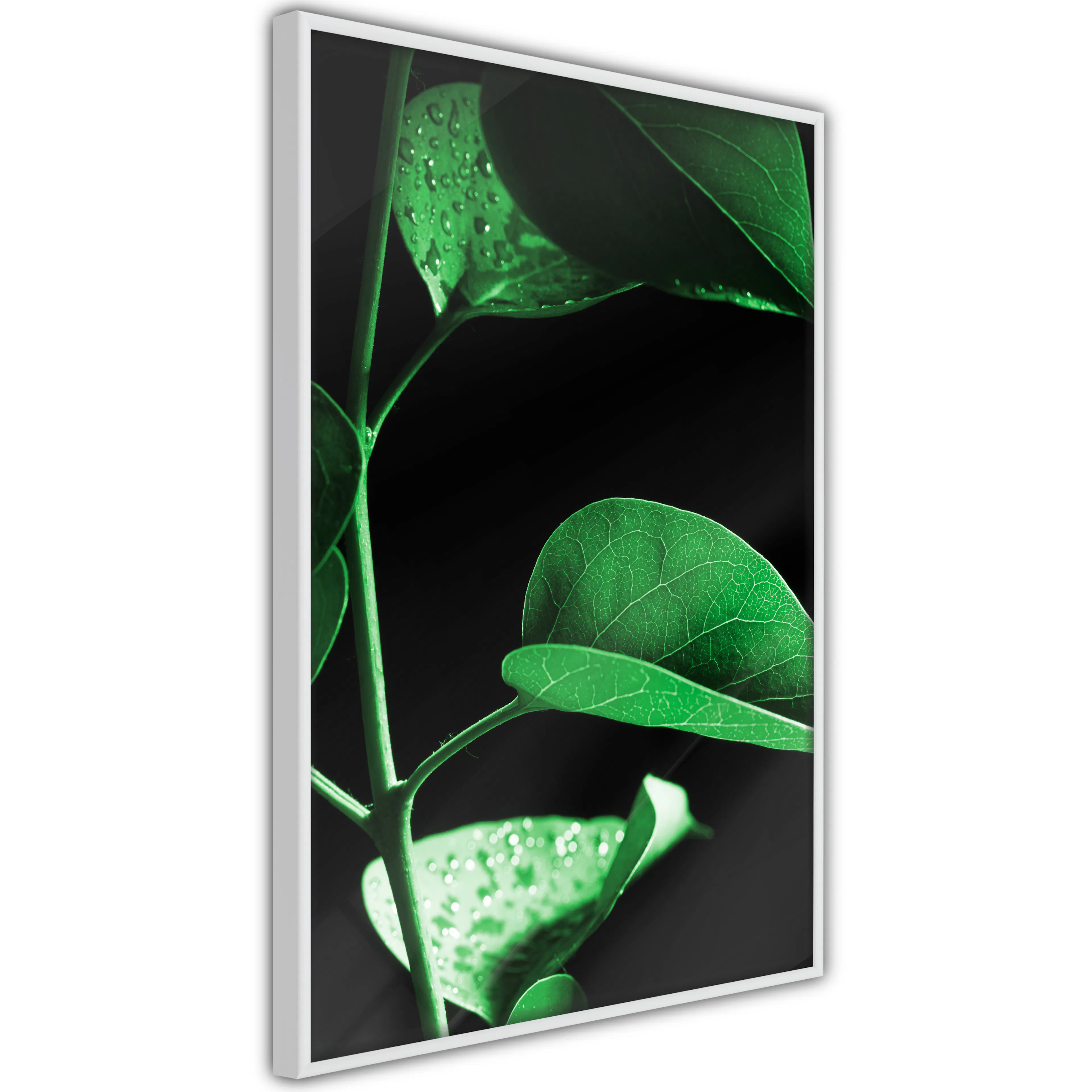 Poster Artgeist Affisch Plant in Black