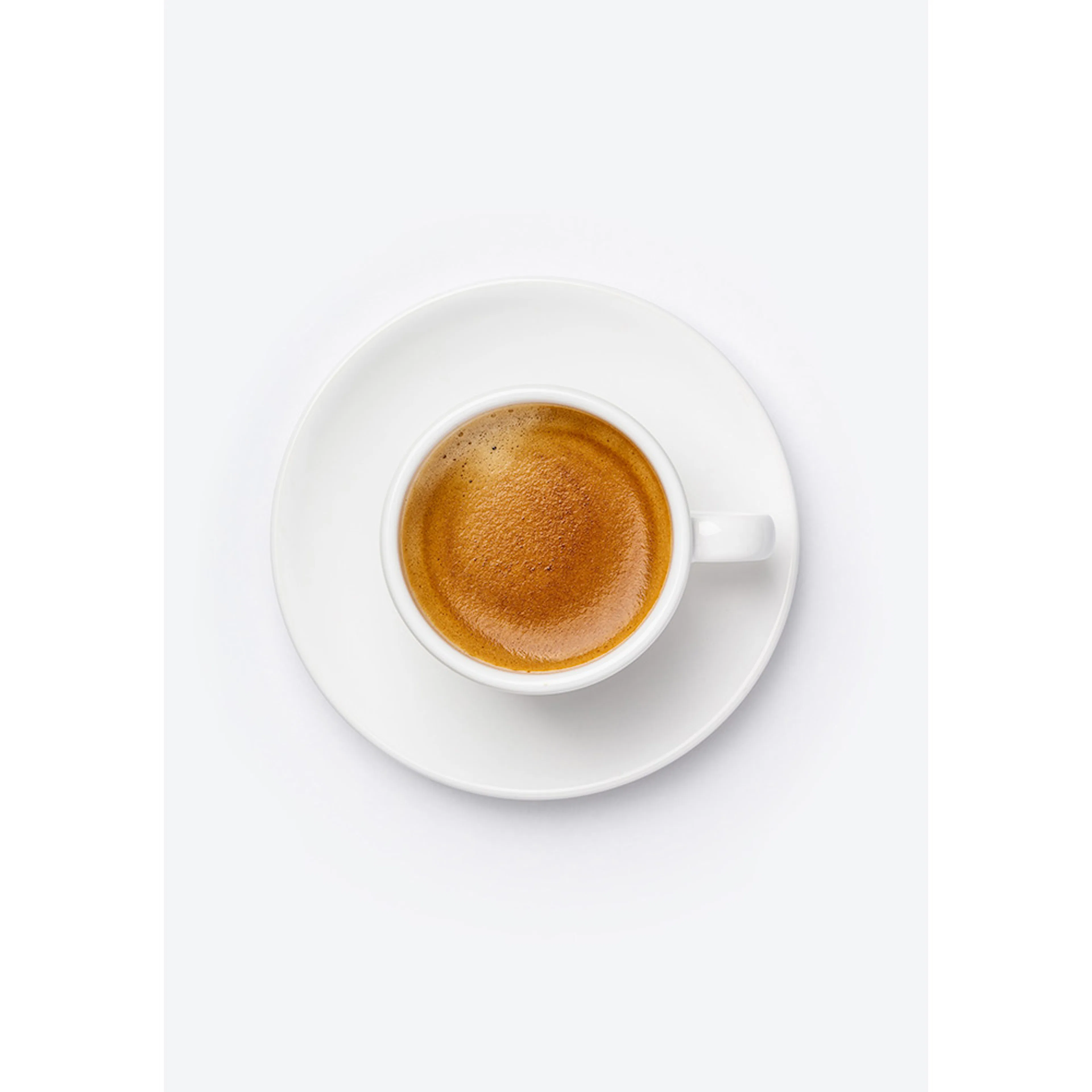 Posters Venture Home Skimmed Coffee Brun/vit
