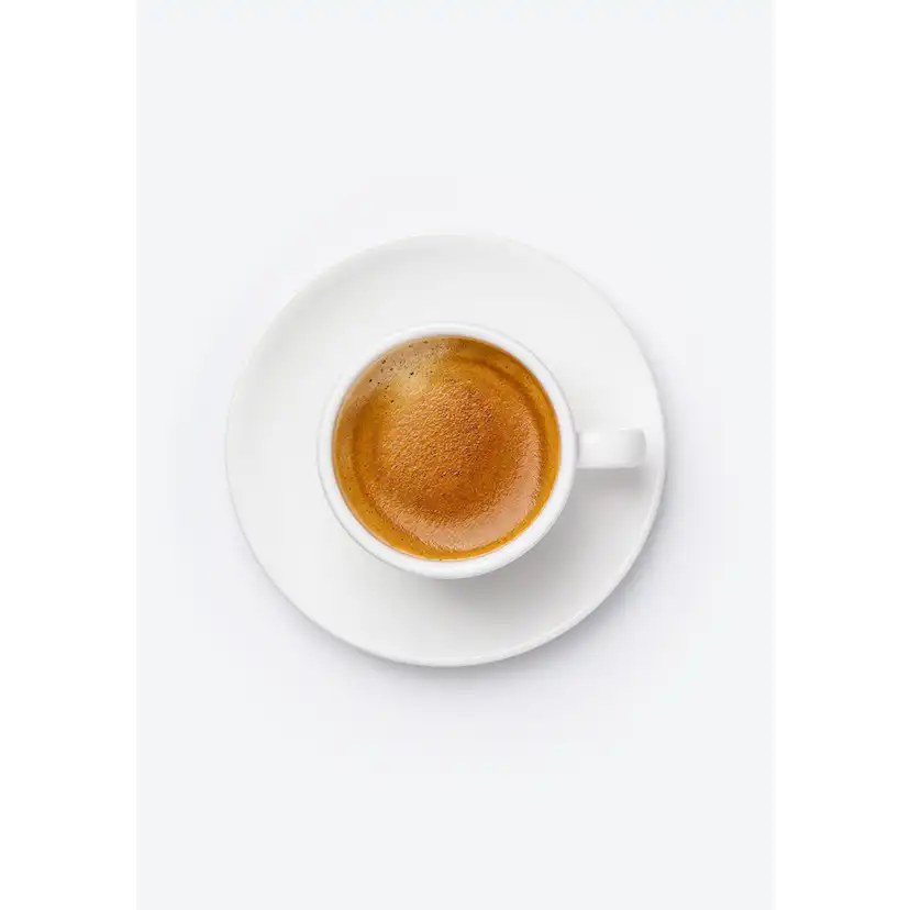 Posters Venture Home Skimmed Coffee Brun/vit