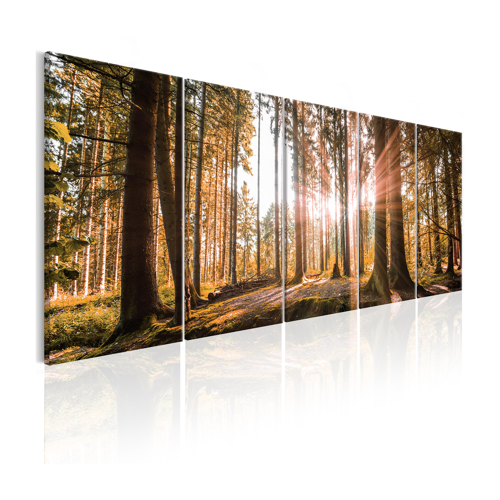 Tavla Arkiio Beauty Of Nature