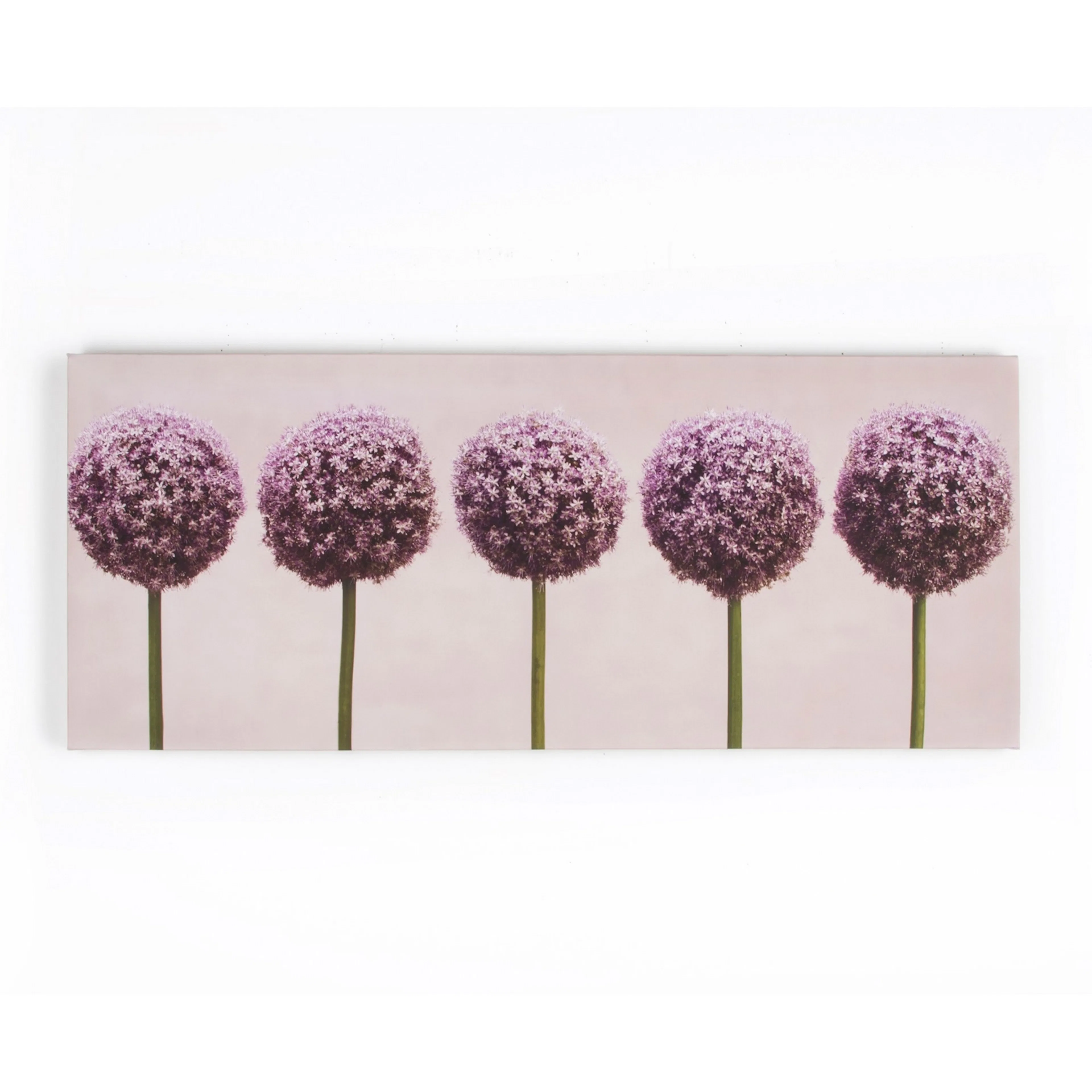 Tavla Art for the Home Alliums In A Row