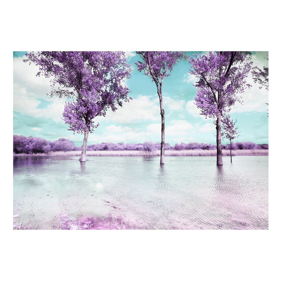 Fototapet Arkiio Heather Landscape