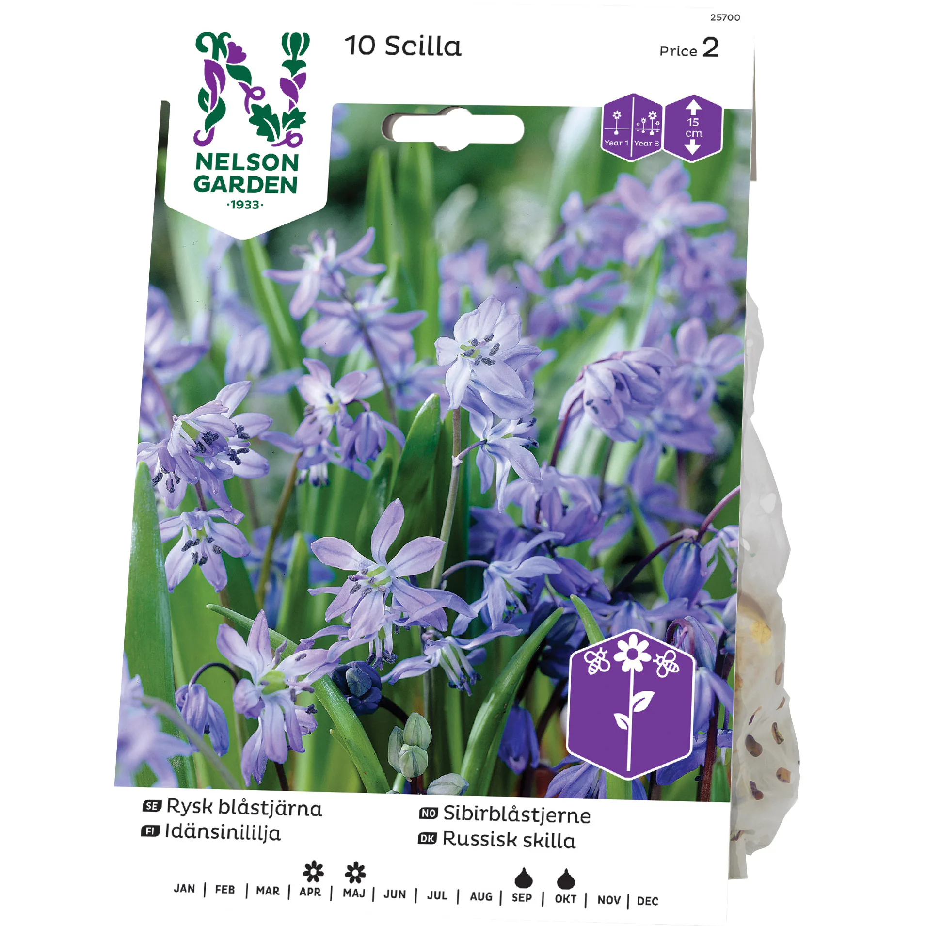 Blåstjärna Nelson Garden Rysk Blå