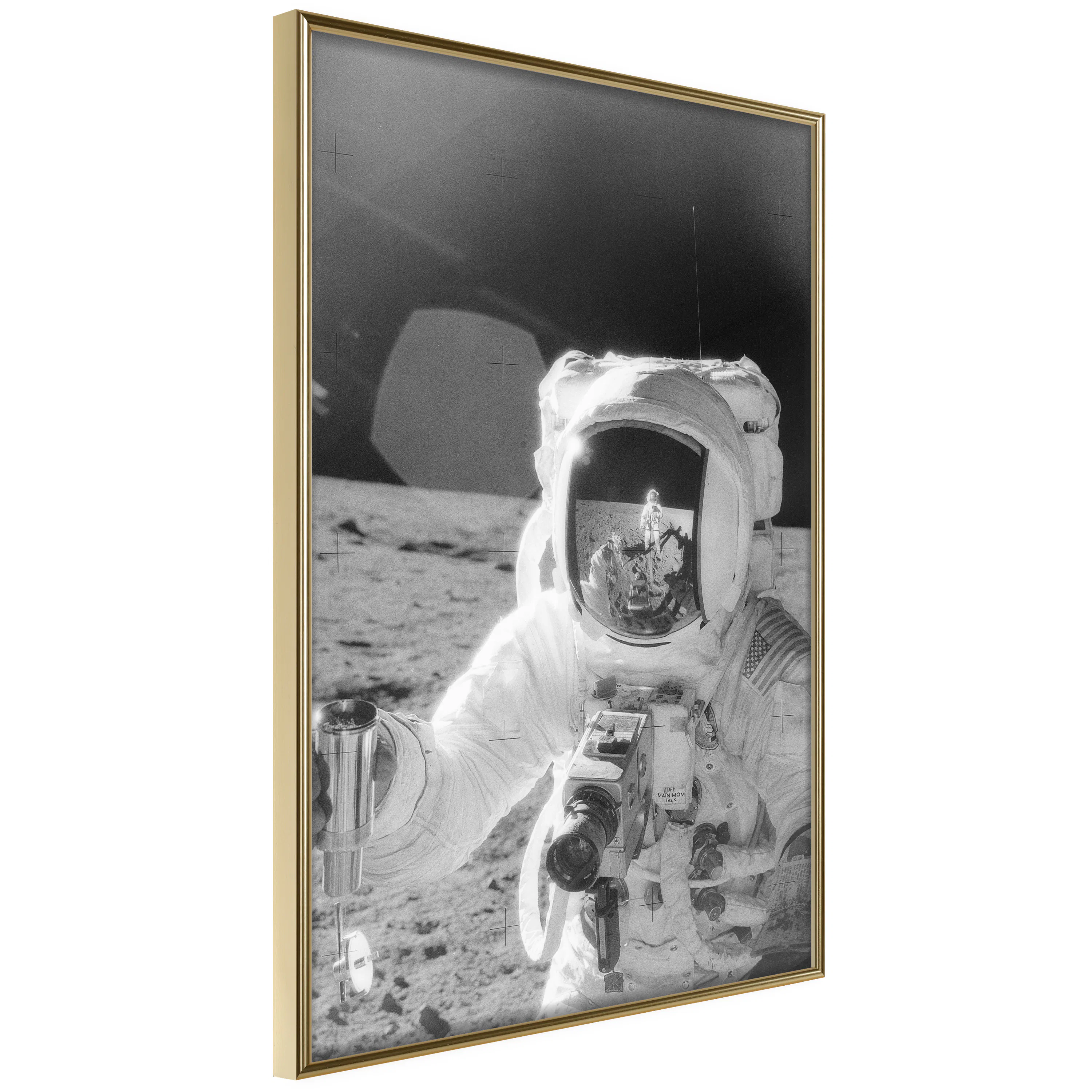 Poster Artgeist Affisch Profession of Astronaut