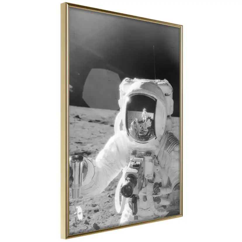Poster Artgeist Affisch Profession of Astronaut