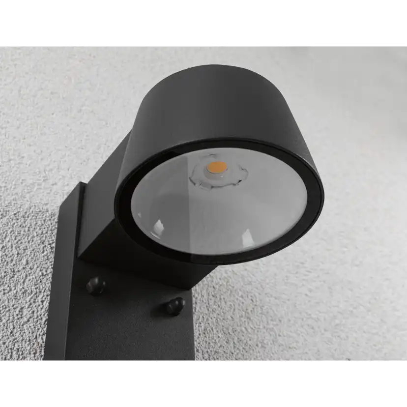 Fasadbelysning LED Paulmann Capea IP44 230V Design: med Skymningsstyrd Rörelsedetektor, Ljus: Soft White