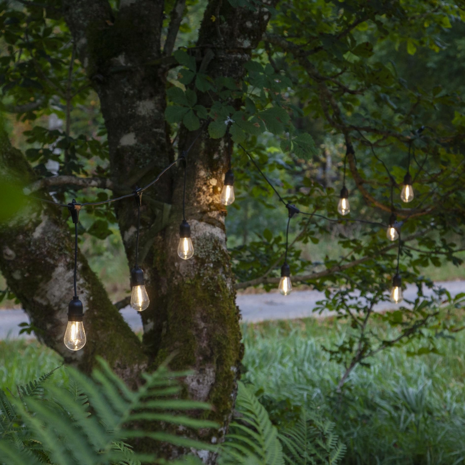 Ljusslinga Star Trading String Light Outdoor