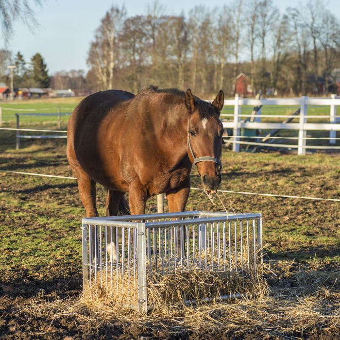 Foderhäck för Häst Kellfri Liten