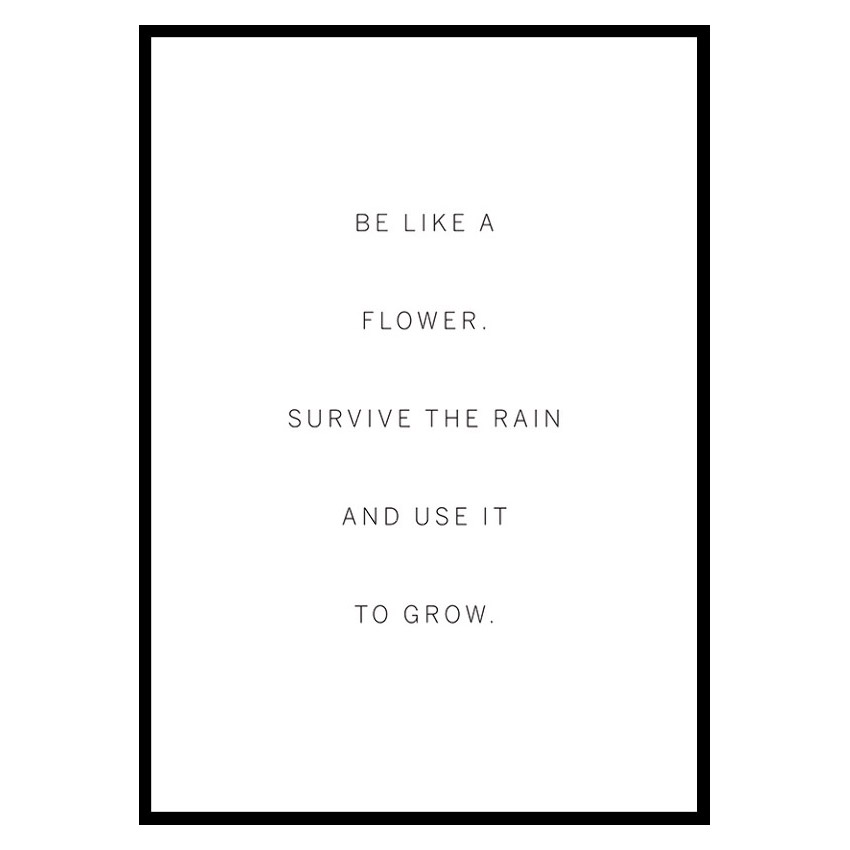 Poster Gallerix Like A Flower