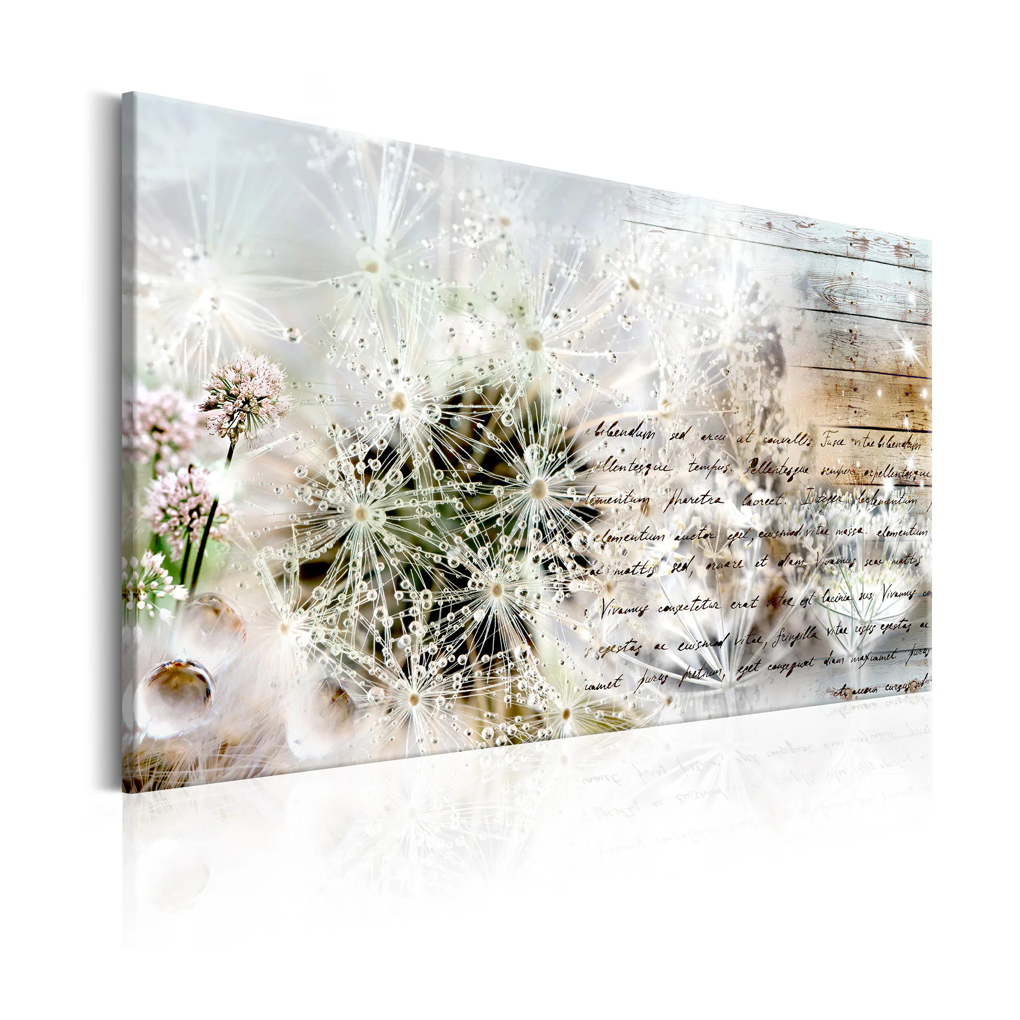 Tavla Arkiio Starry Dandelions