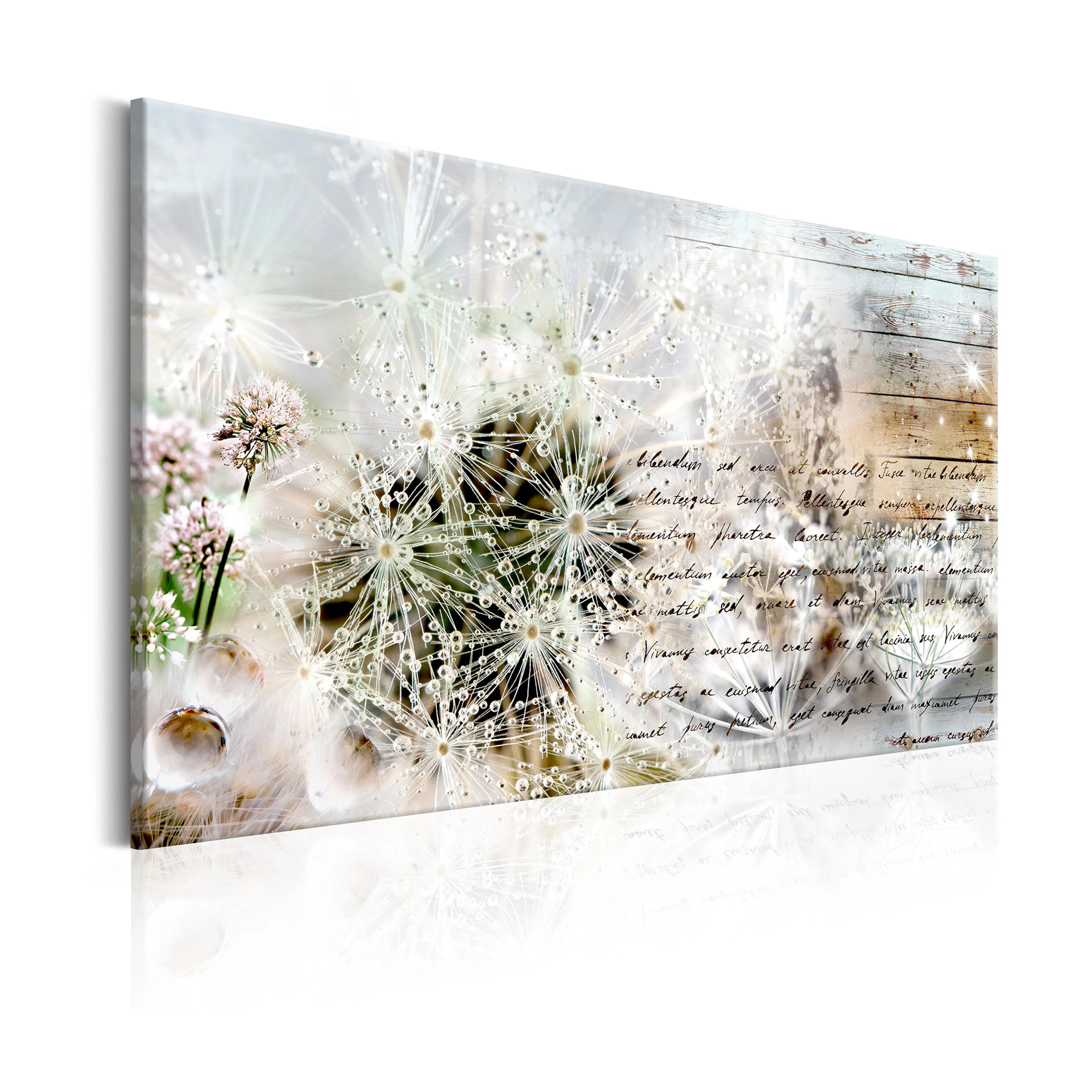 Tavla Arkiio Starry Dandelions