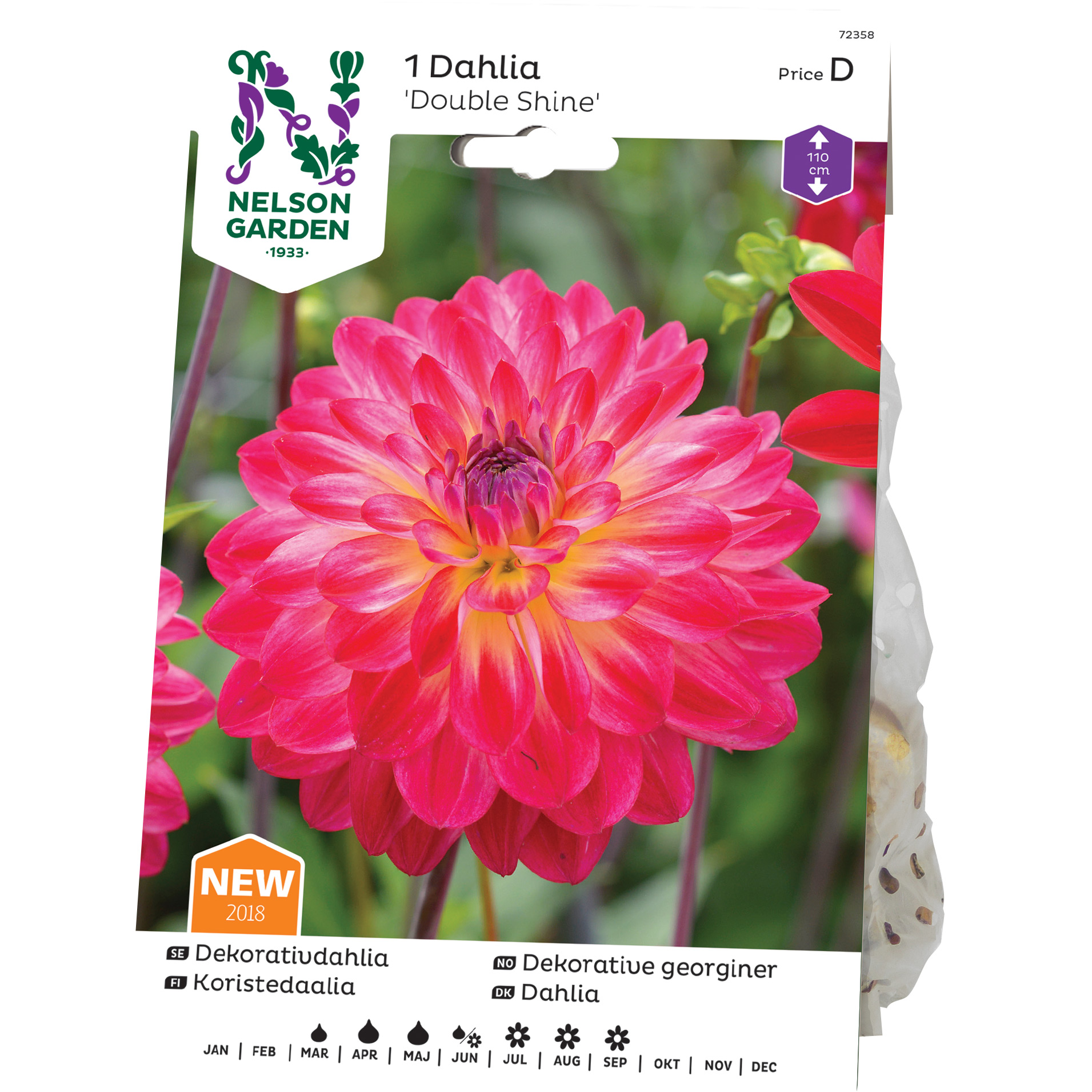 Dekorativdahlia Nelson Garden Double Shine