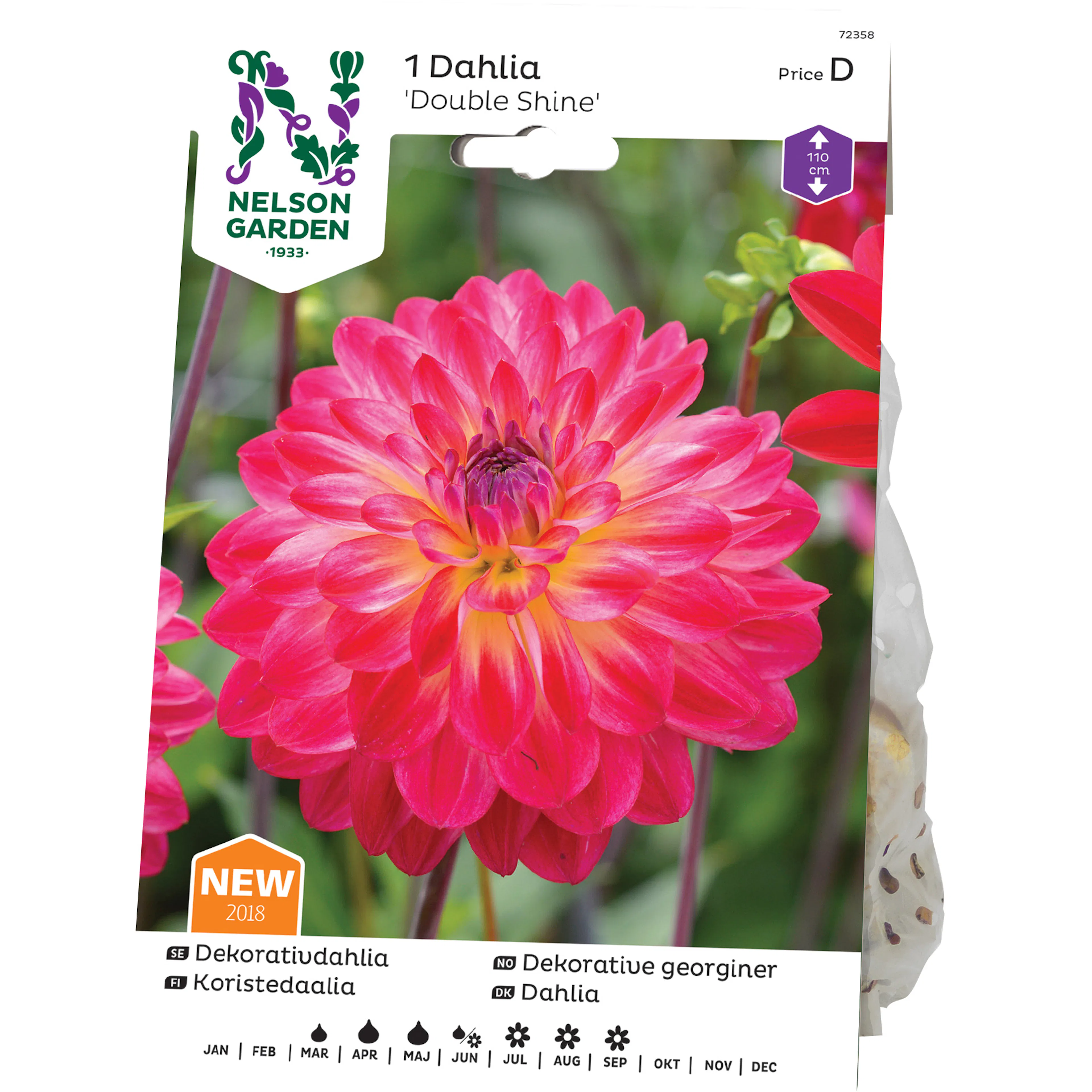 Dekorativdahlia Nelson Garden Double Shine