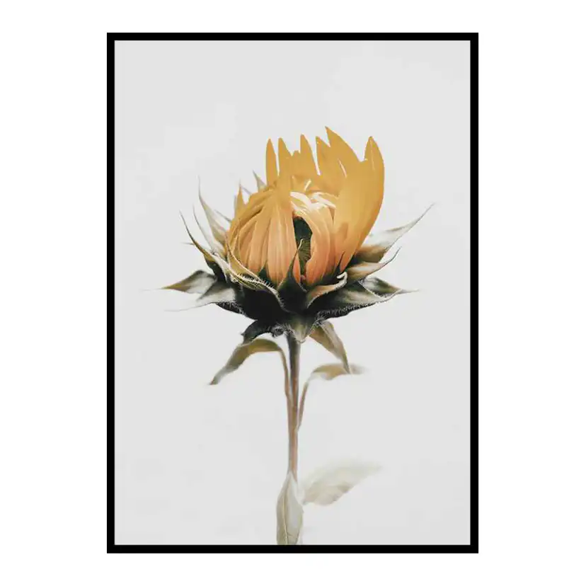 Poster Gallerix Yellow Sunflower