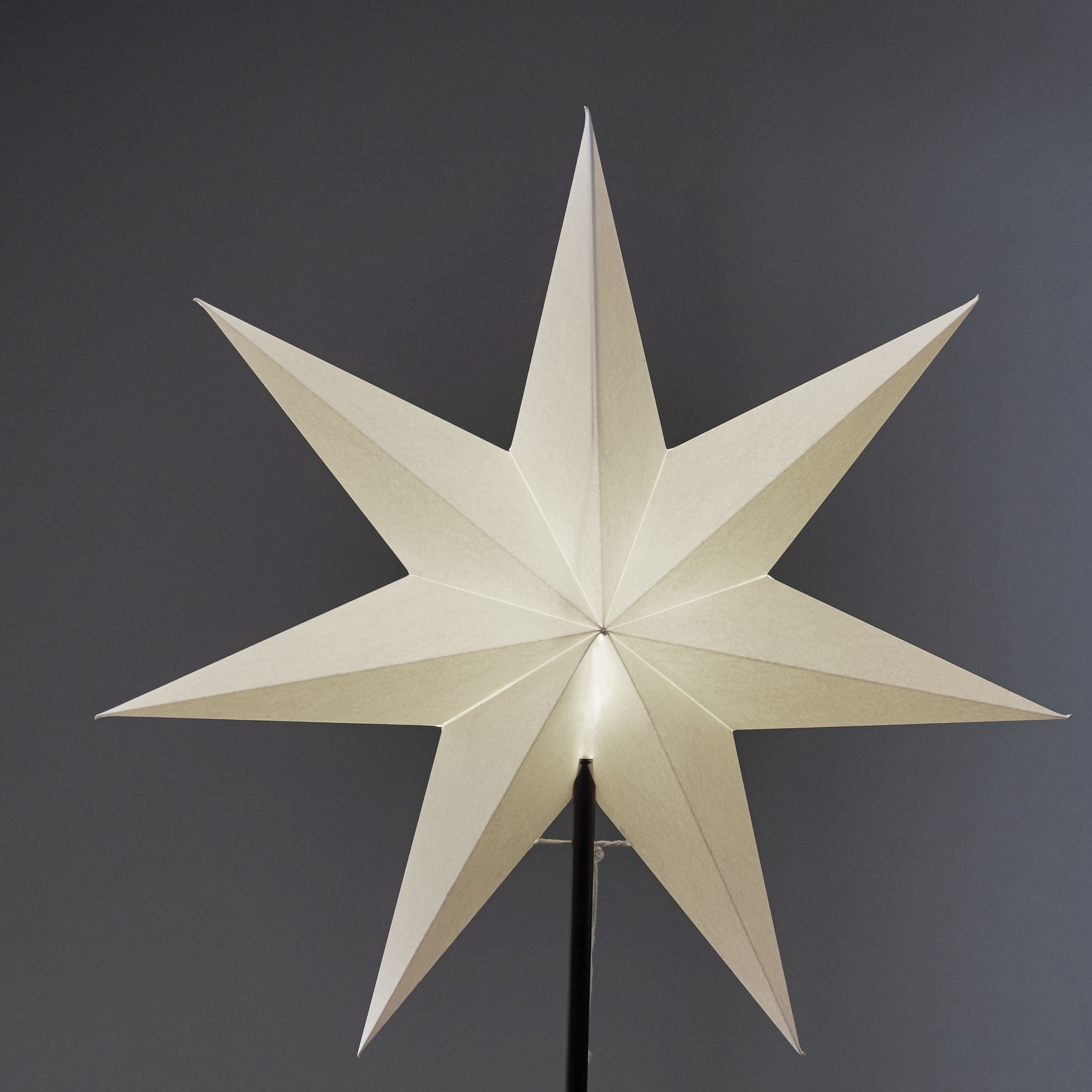 Adventsstjärna Star Trading Frozen Papper