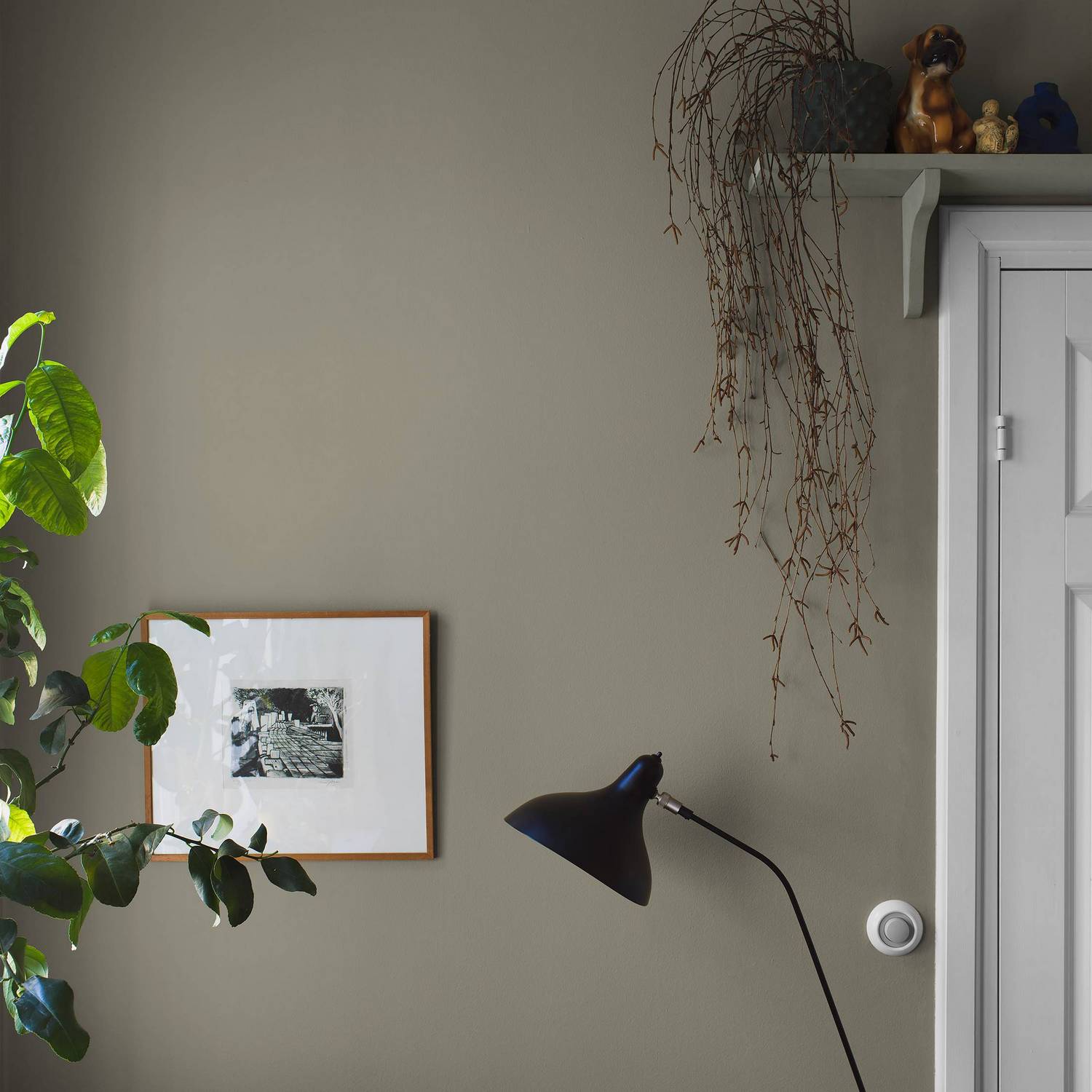 Tapet Boråstapeter Light Olive 7558