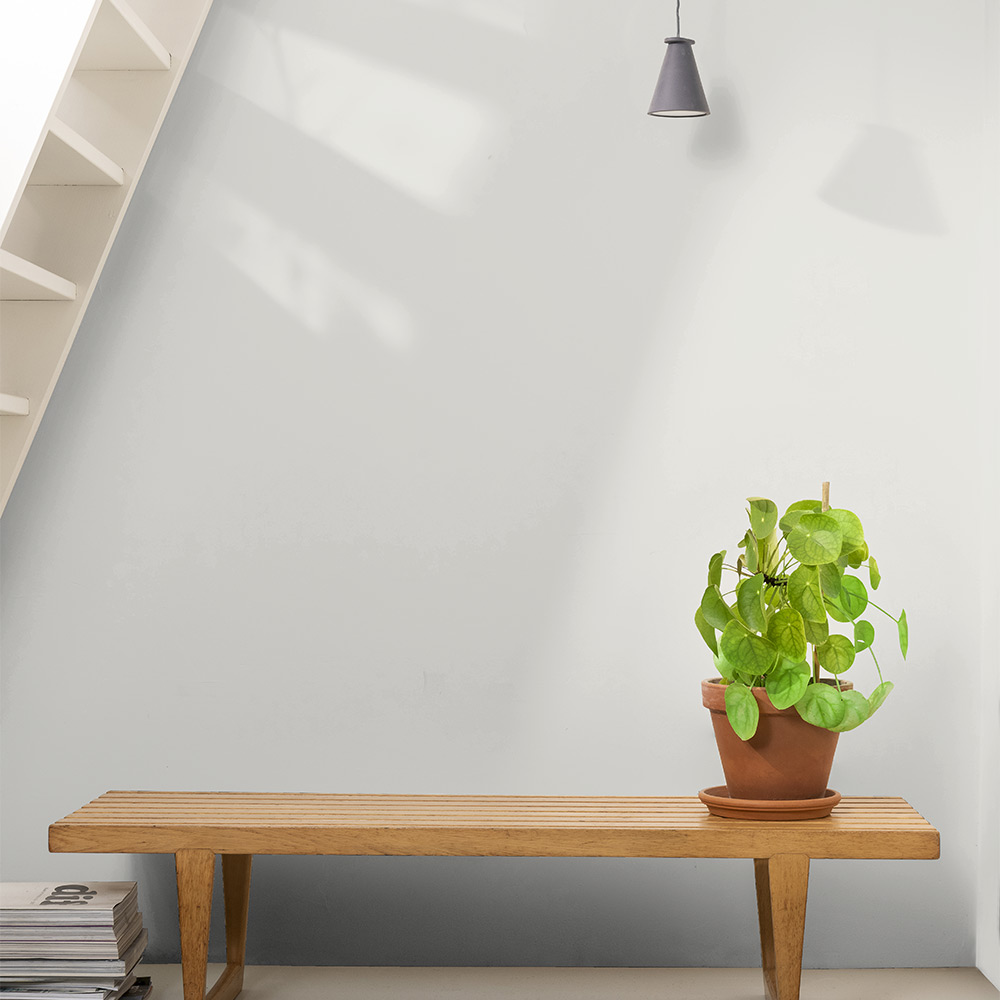 Väggfärg Nordsjö Perform+ Easy2Clean Matt Glans 10 1 L