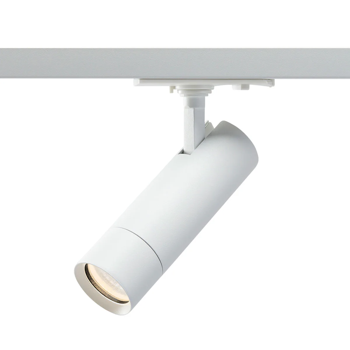 Vit