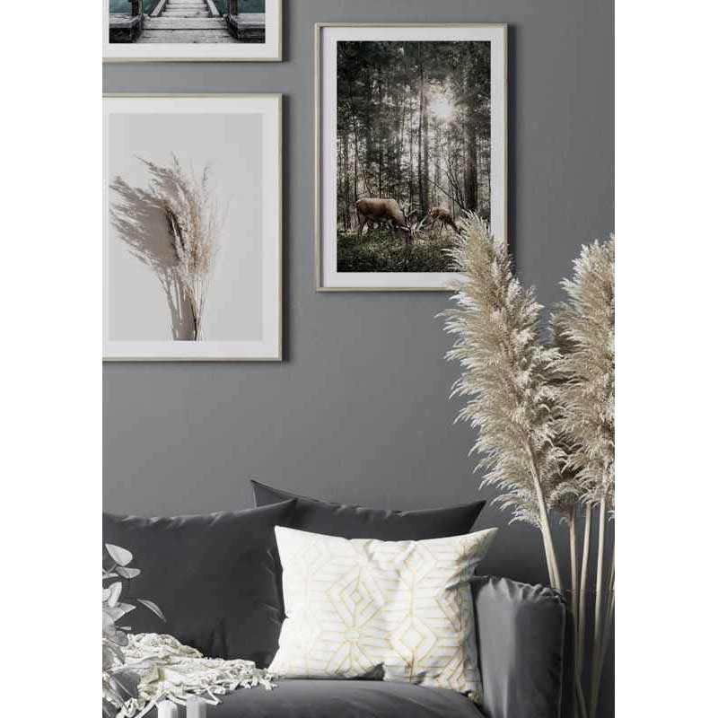 Poster Gallerix Deer In Sunlight