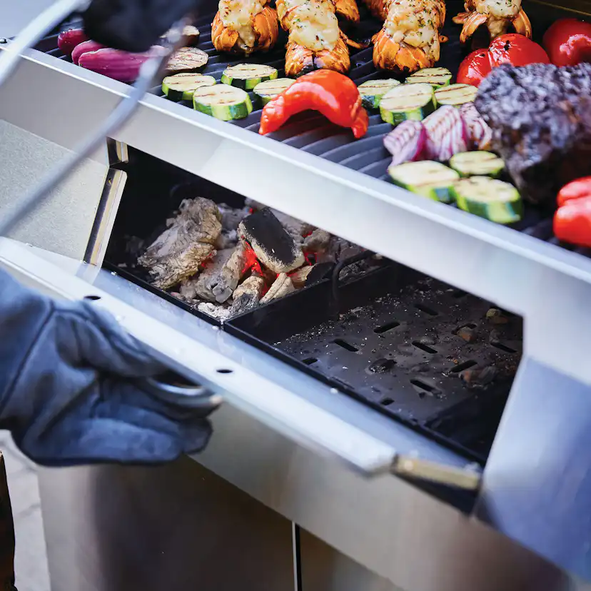 Kolgrill Napoleon PRO605