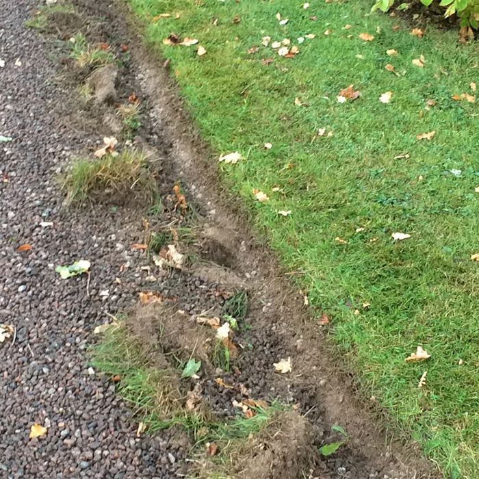 Kantskärare Kellfri