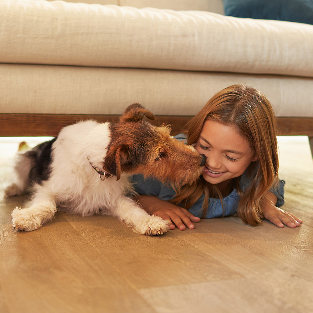 Cleaner Bona för Trägolv 4 liter