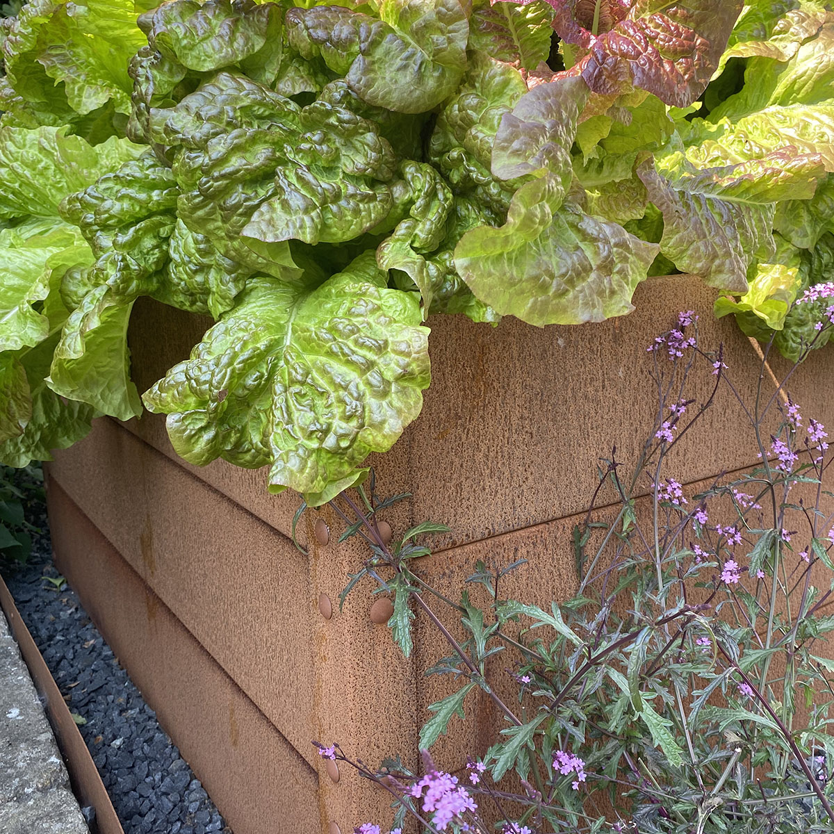 Odlingslåda Flexigarden Cortenplåt 2 mm 800x1200x600 mm