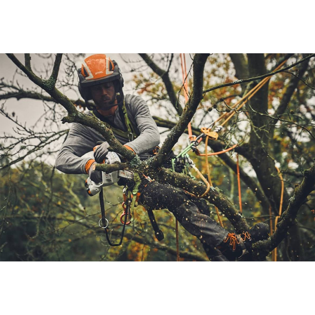 Batteridriven Grensåg STIHL GTA 40 Utan Batteri & Laddare