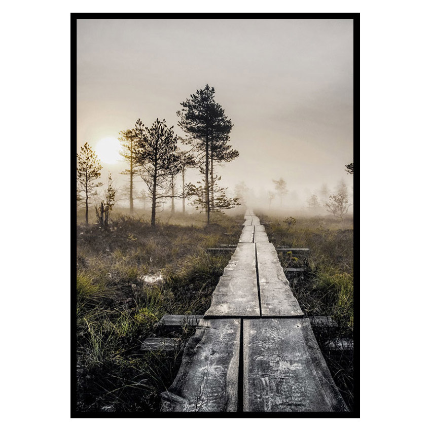 Poster Gallerix Torronsuo Wilderness