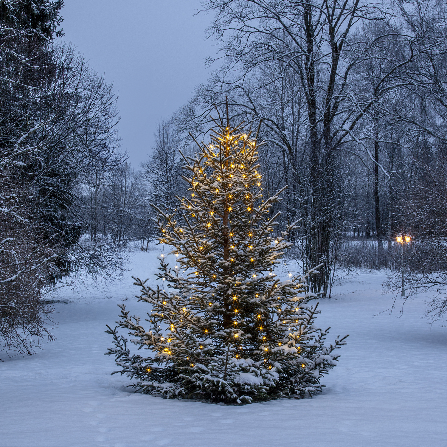 Julgransslinga Star Trading Dew Drop Micro