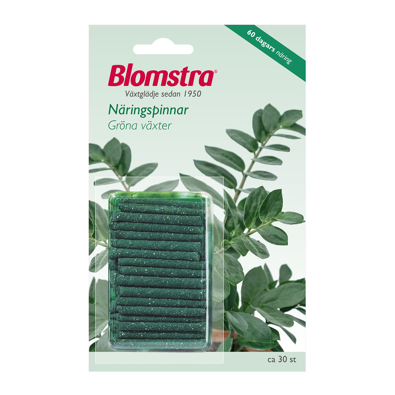 Näringspinnar Blomstra Gröna Växter 30 st