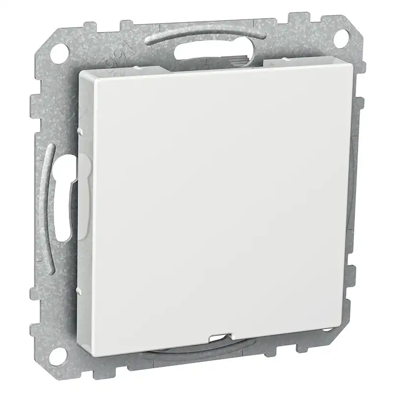 Centrumplatta Schneider Electric Exxact