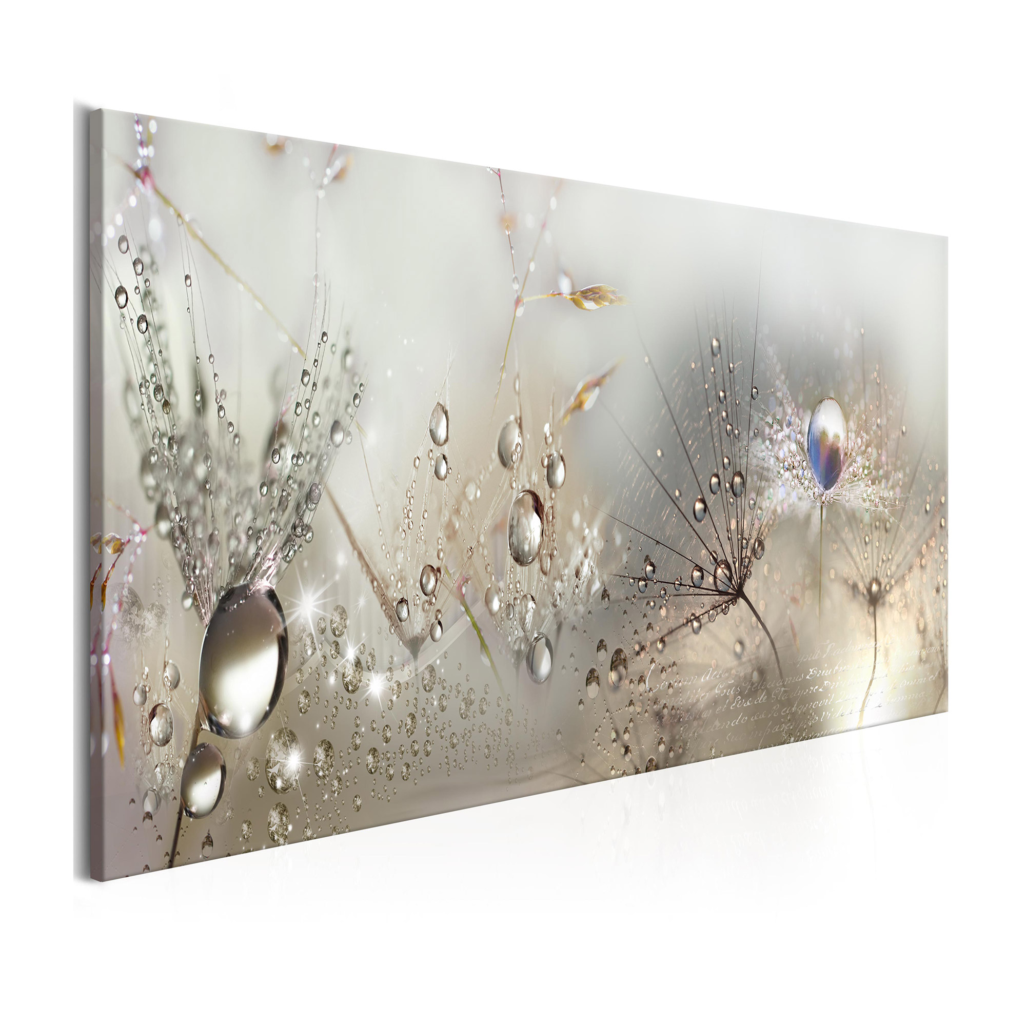 Tavla Arkiio Morning Song