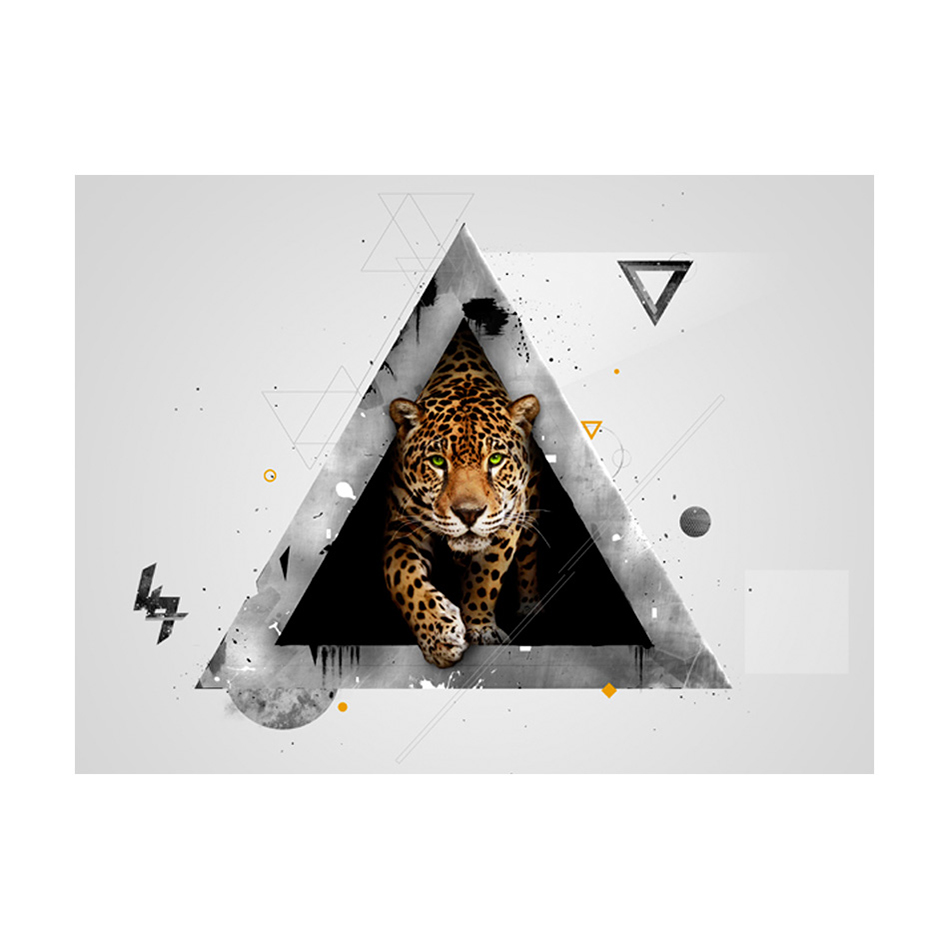 Fototapet Arkiio Wild Abstraktion