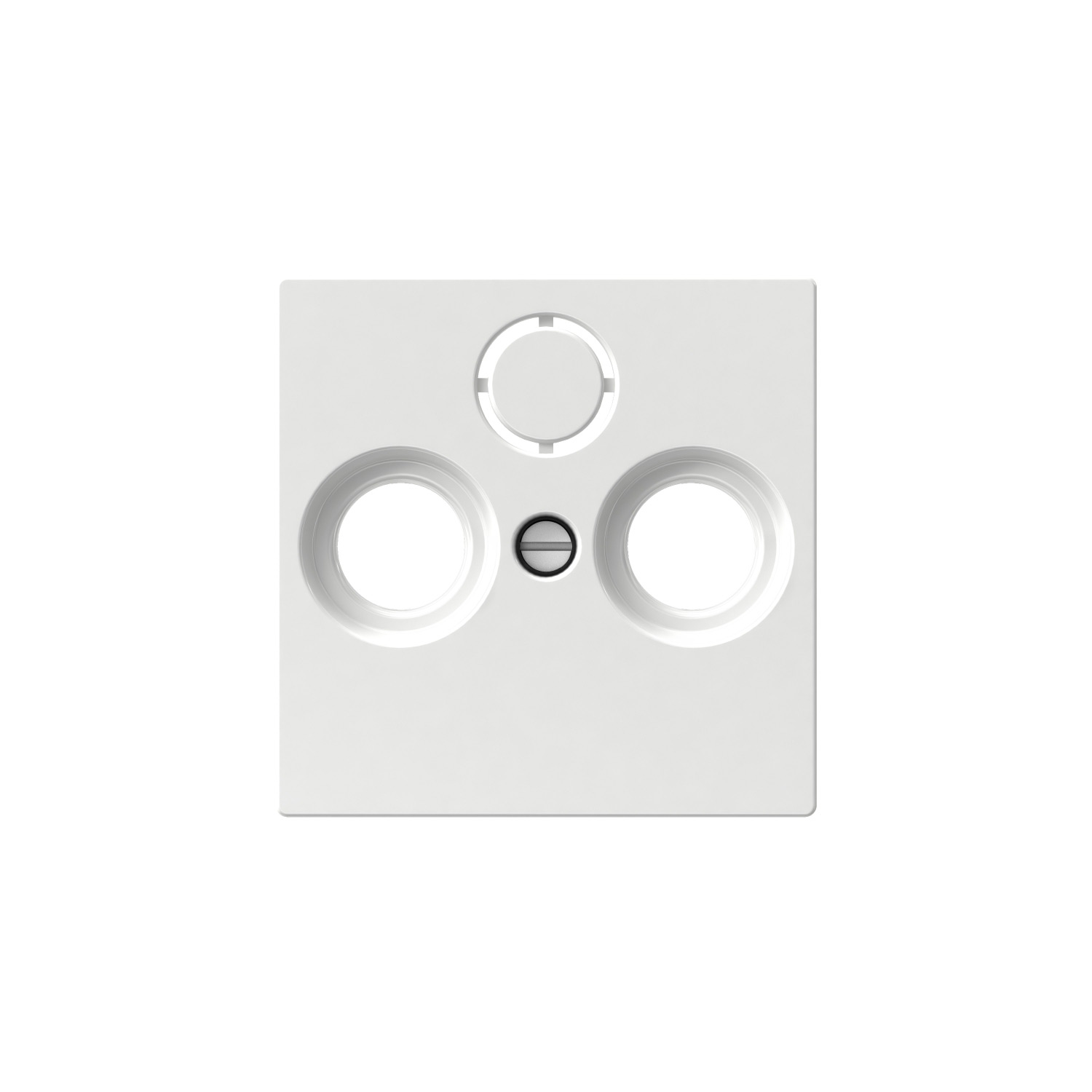 Centrumplatta Schneider Electric Exxact Antennuttag