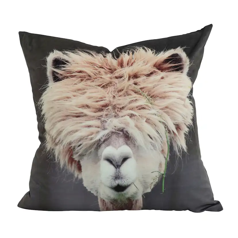 Kuddfodral Svanefors Mr Lama