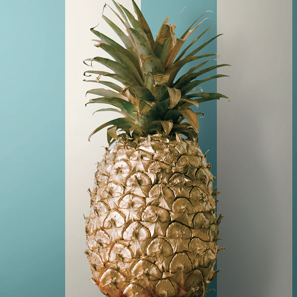 Tapet York Wallcoverings Ashford Tropics AT7008