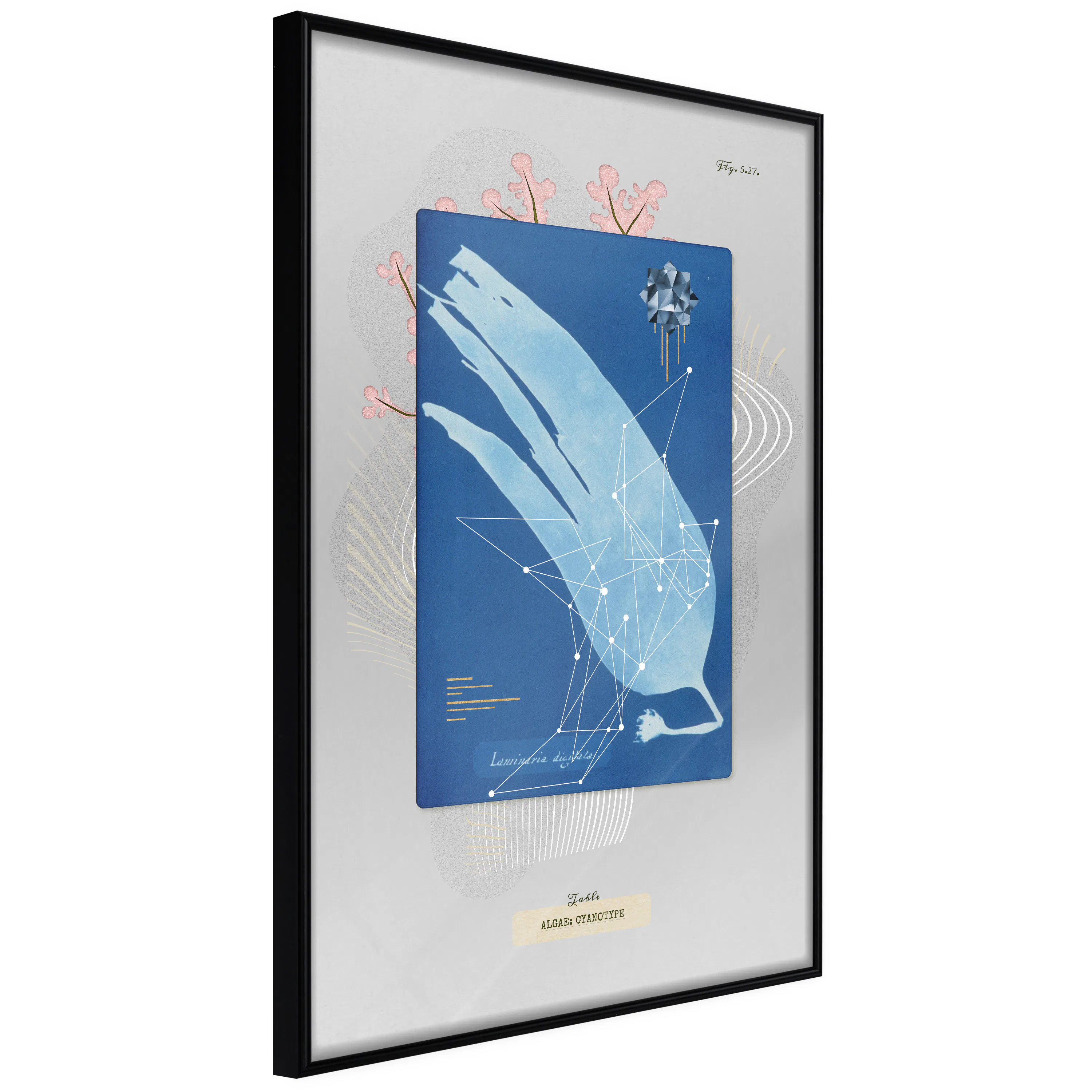 Poster Artgeist Affisch Alga