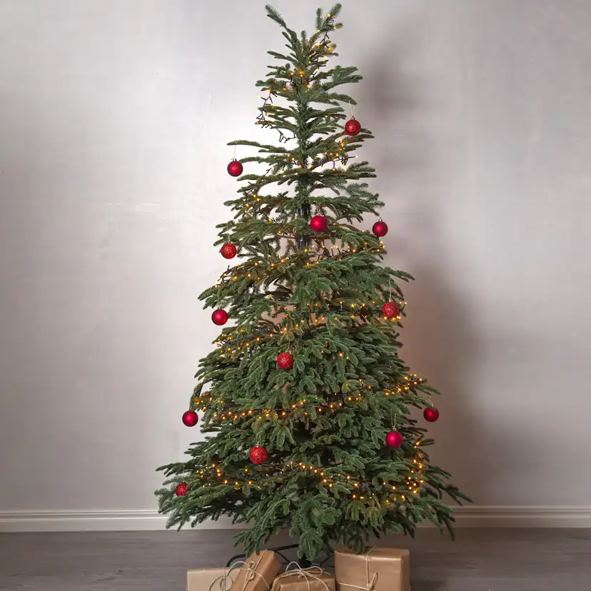 Plastgran Star Trading Edane 210 cm