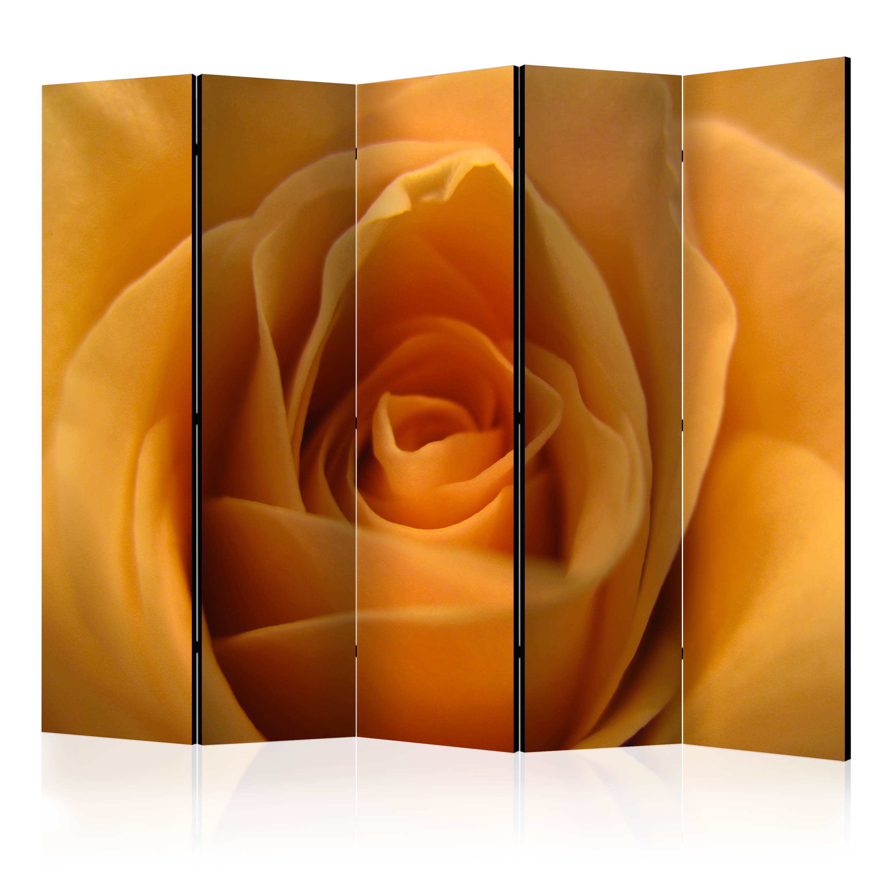 Rumsavdelare Skärmvägg Arkiio Yellow Rose – A Symbol Of Friendship II 225x172 cm